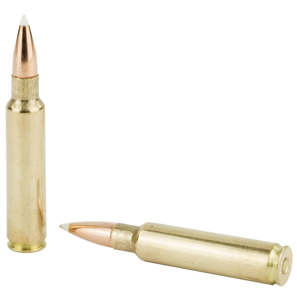 NOSLER 33NOS 225GR AB 20/200 3