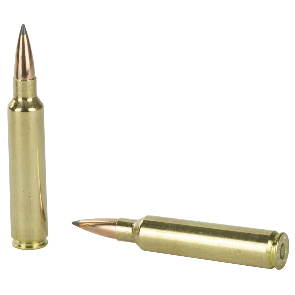 NOSLER 30NOS 210GR ABLR 20/200 3