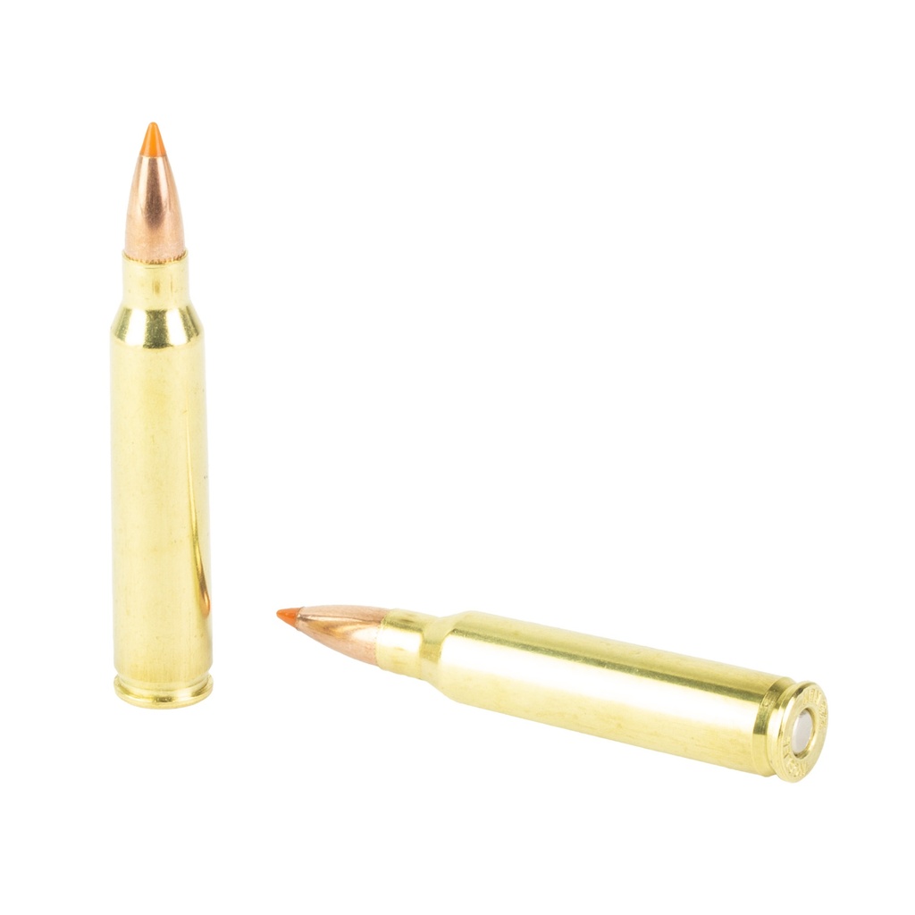 NOSLER 223 REM 55GR BT 20/200 3