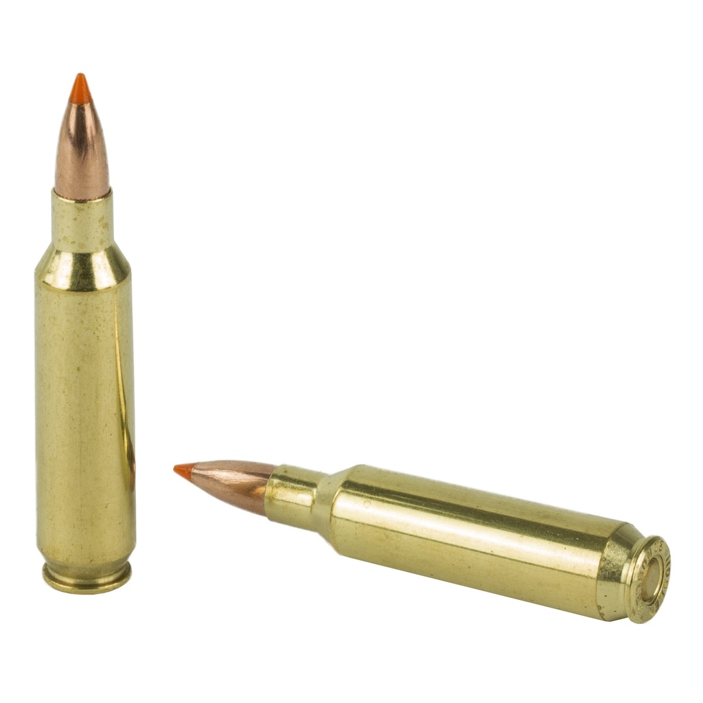 NOSLER 22NOS 55GR BT 20/200 3