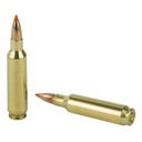 NOSLER 22NOS 55GR BT 20/200 3