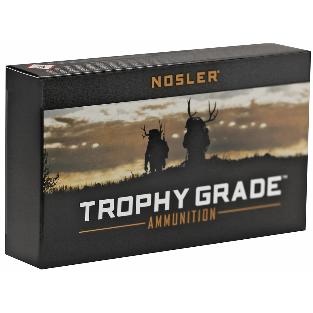 NOSLER TG 243WIN 100GR PT 20/200 1
