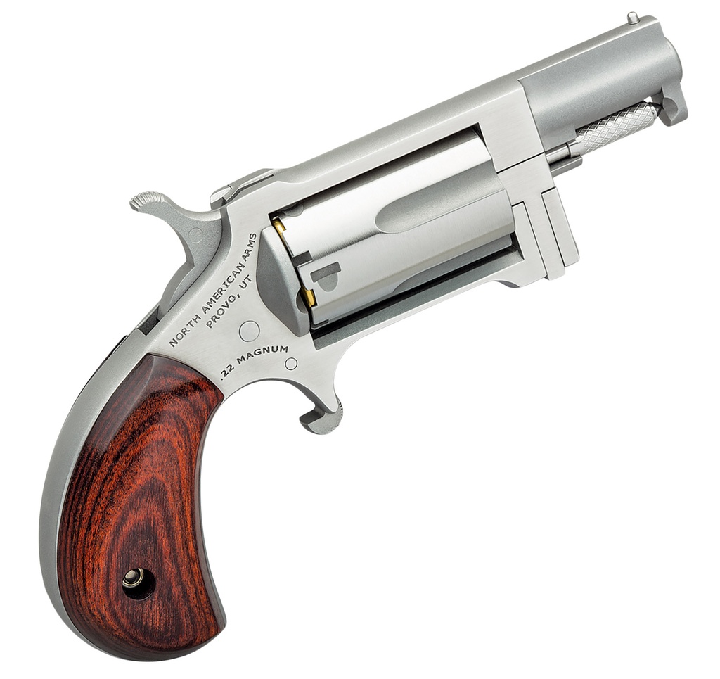 North American Arms Sidewinder 2