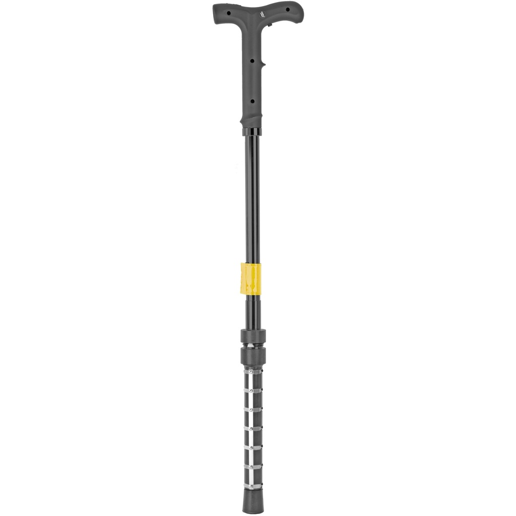 PS ZAP CANE 1 000 000 VOLTS W/CASE 1