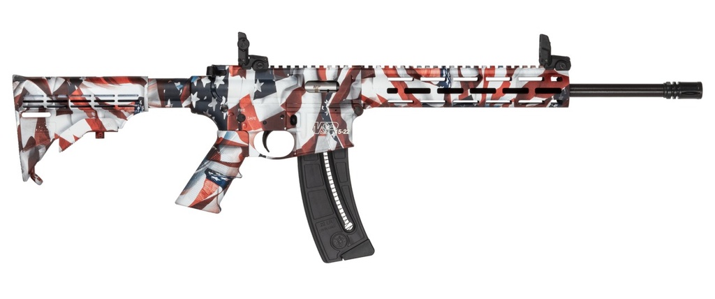 Smith and Wesson M&P15-22 Sport 1