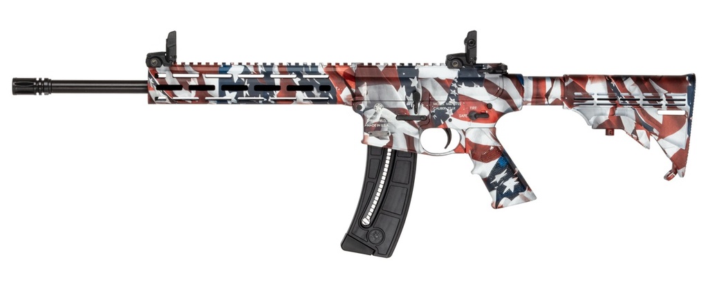 Smith and Wesson M&P15-22 Sport 2