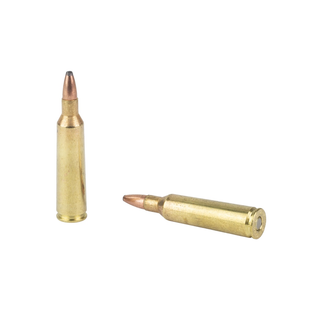 Remington REM WE THE PEOPLE 22-250REM 55GR HPR 3