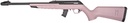 Derya Arms TM22 2