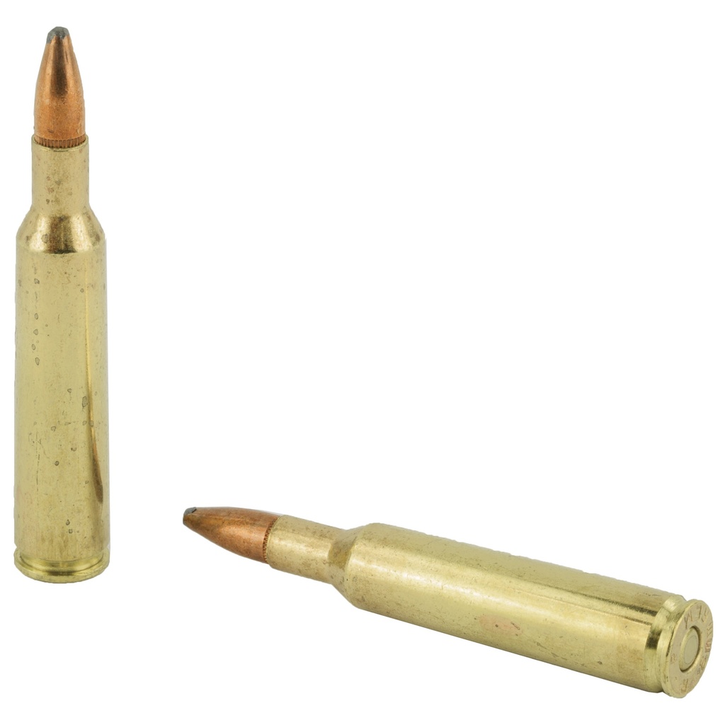 Remington REM 6MM REM 100GR PSP CL 20/200 3