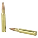 Remington REM 30-06 180GR PSP CL 20/200 3