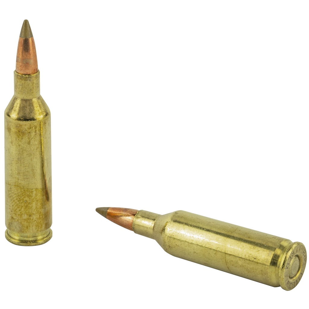 Remington REM PRMR ACCU 17FIREBALL 20GR 20/200 3