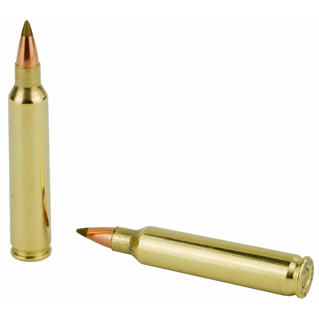 Remington REM PRMR ACCU 204RUG 40GR 20/200 3