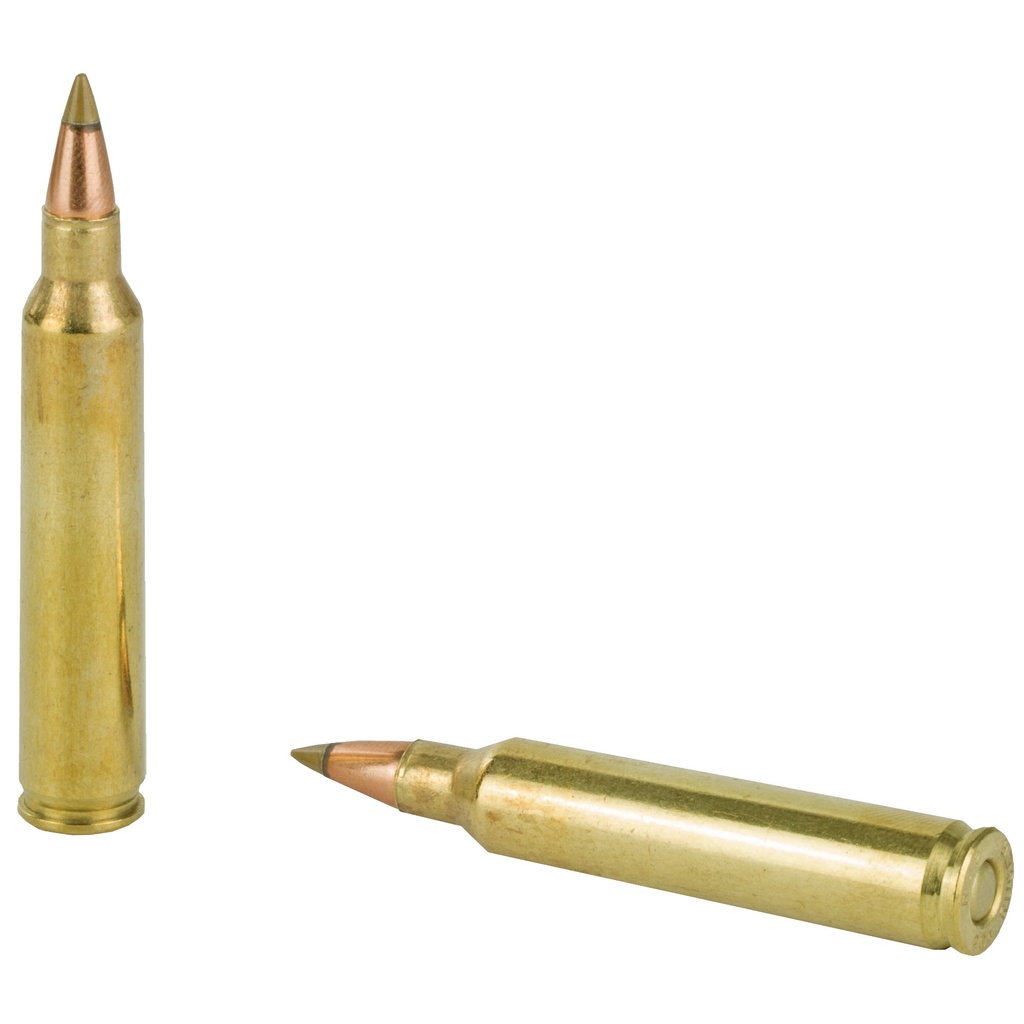 Remington REM PRMR ACCU 204RUG 32GR 20/200 3