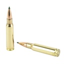 Remington REM 308 WIN 165GR CLOK TIPPED 20/200 3