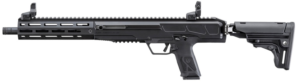 Ruger LC Carbine 2
