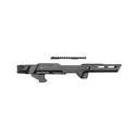 STRIKE MOD CHASSIS RUGER 10/22 2
