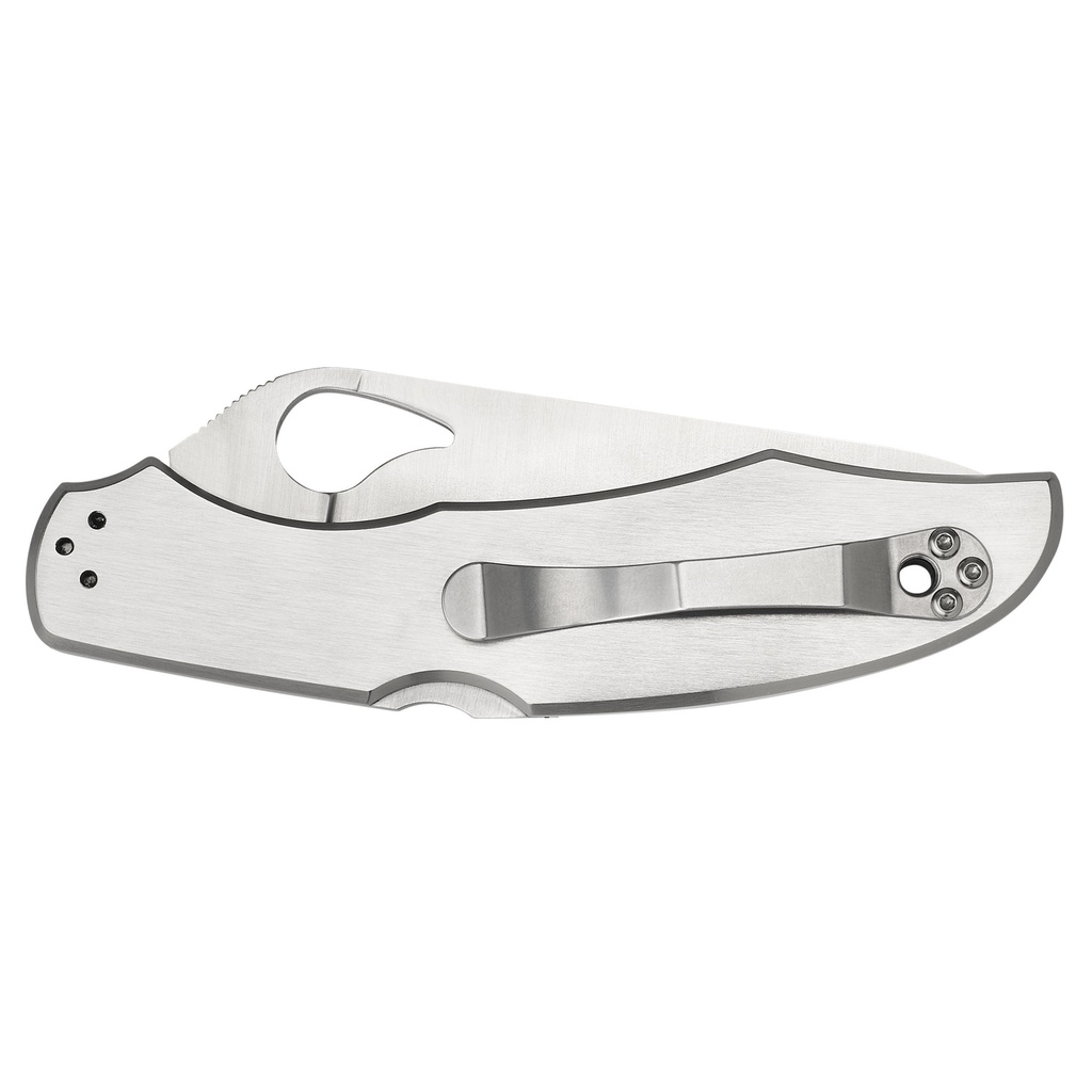 SPYDERCO BYRD CARA CARA 3.75" COMBO 1