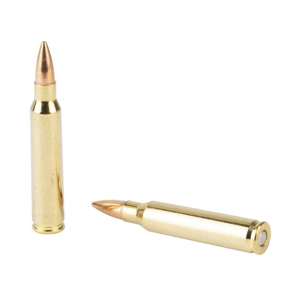 STV Technology SCORPIO AMMO 223REM 55GR FMJ 20/1000 3