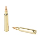STV Technology SCORPIO AMMO 223REM 55GR FMJ 20/1000 3