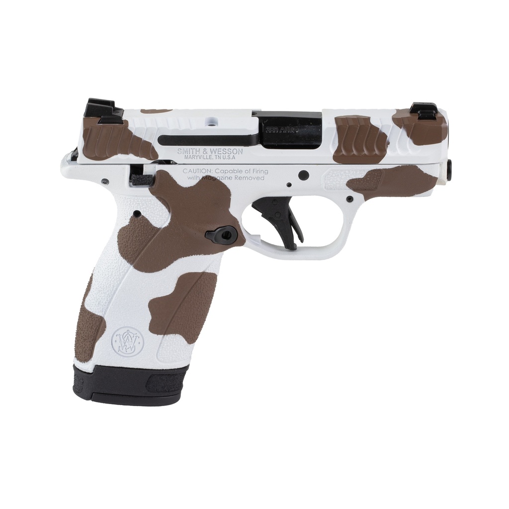 Smith & Wesson S&W BDYGRD 2.0 380ACP 2.75 12RD COW 1