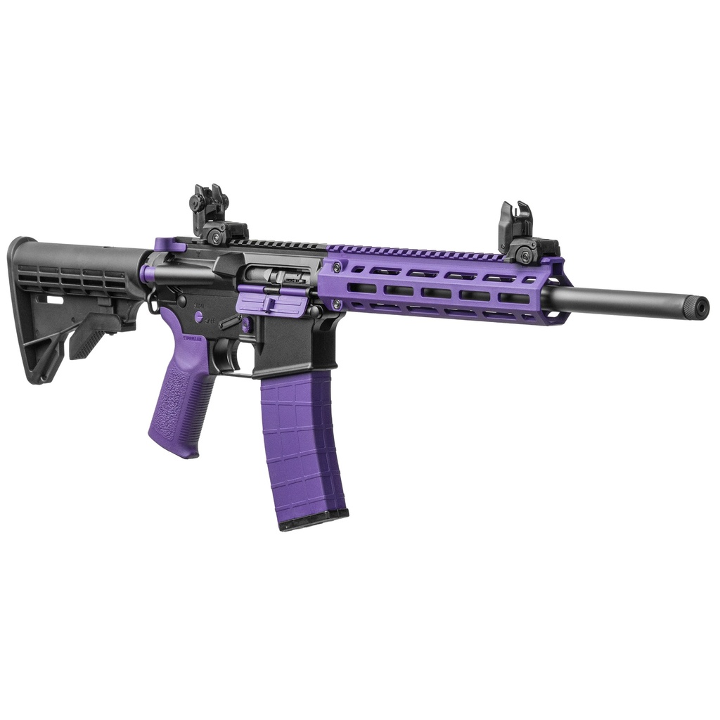 TIPPMANN M4-22 ACCENT 22LR 25RD PRP 2