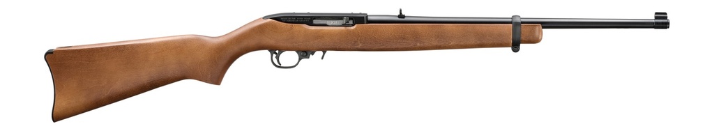 Ruger 10/22 Carbine 1
