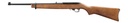 Ruger 10/22 Carbine 2