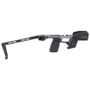 TYRANT TWS365 CHASSIS FITS P365 GRY 2