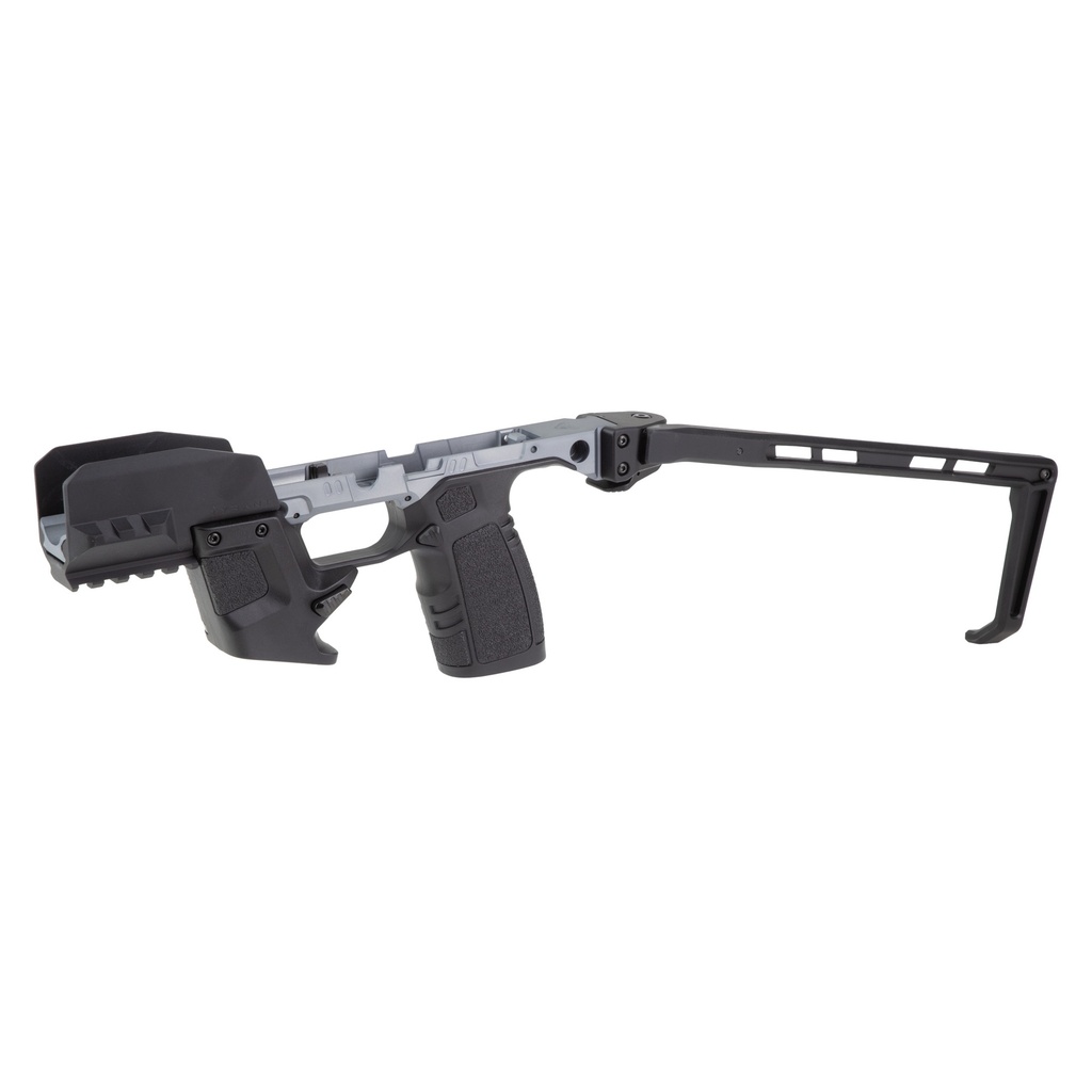 TYRANT TWS365 CHASSIS FITS P365 GRY 3