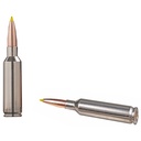 Winchester Ammunition WIN 6.8 WSTN BLSTC TIP 170GR 20/200 3