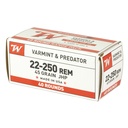 Winchester Ammunition WIN USA 22-250 REM 45GR JHP 40/400 2