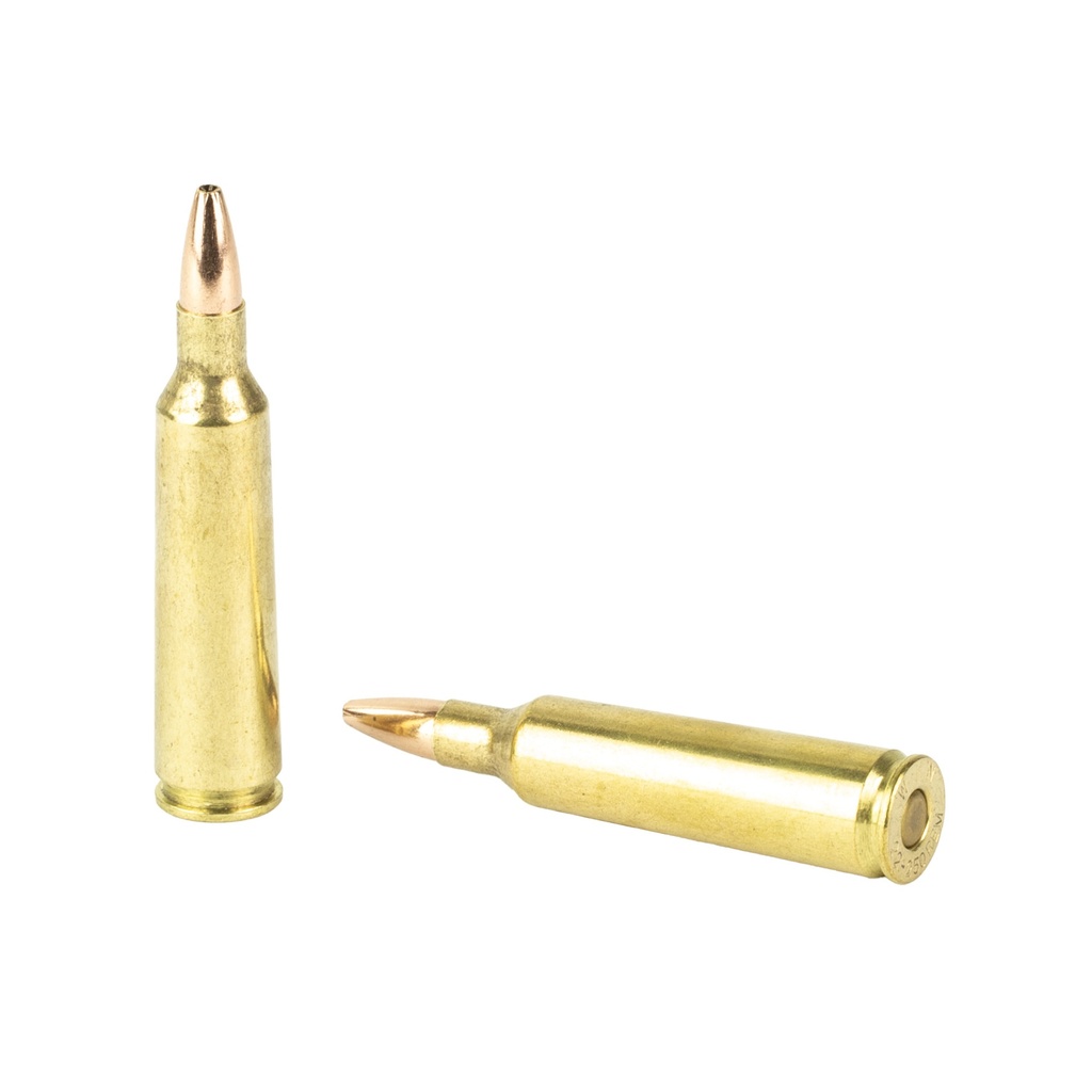 Winchester Ammunition WIN USA 22-250 REM 45GR JHP 40/400 3