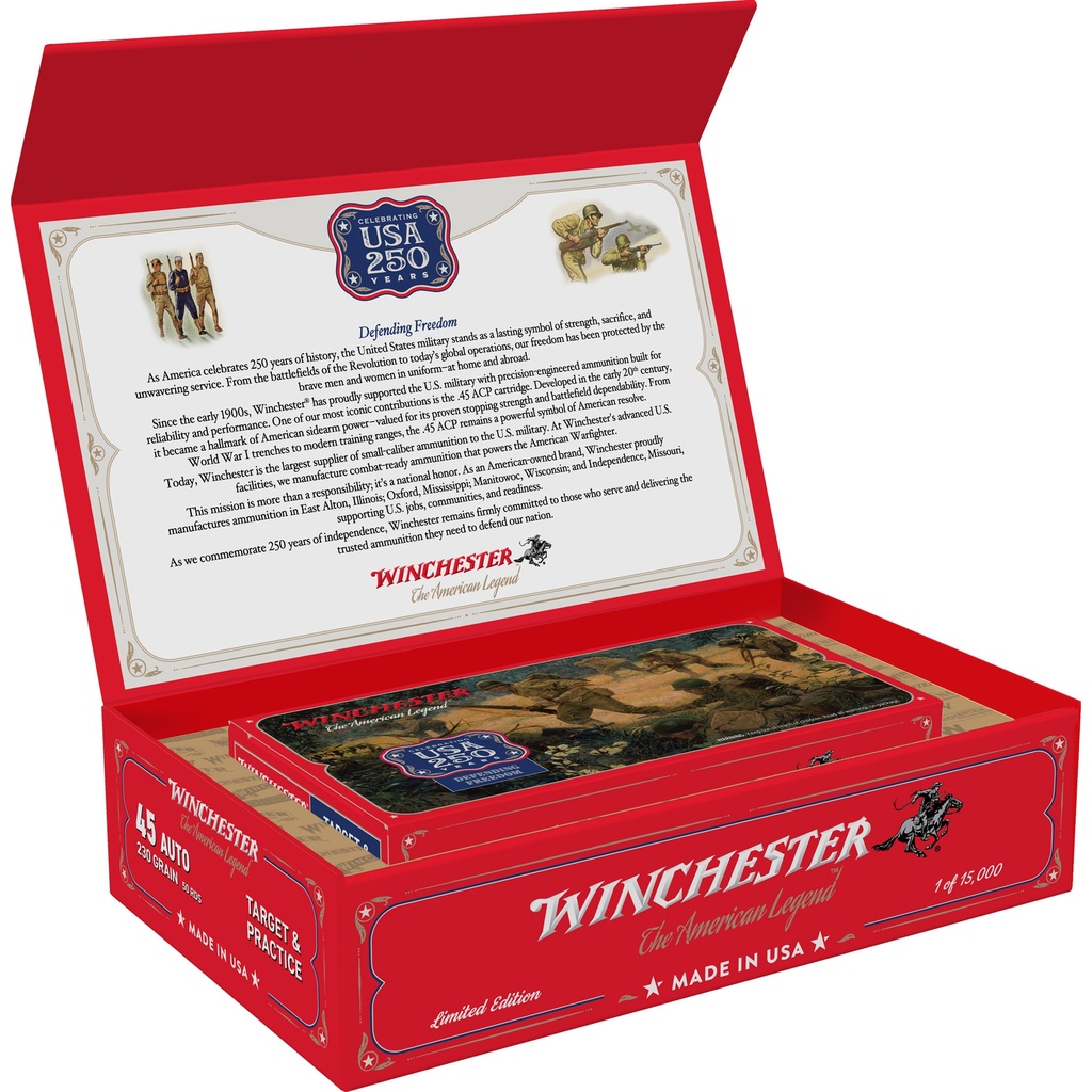 Winchester Ammunition WIN USA 250TH 45ACP 230GR FMJ 50/300 1