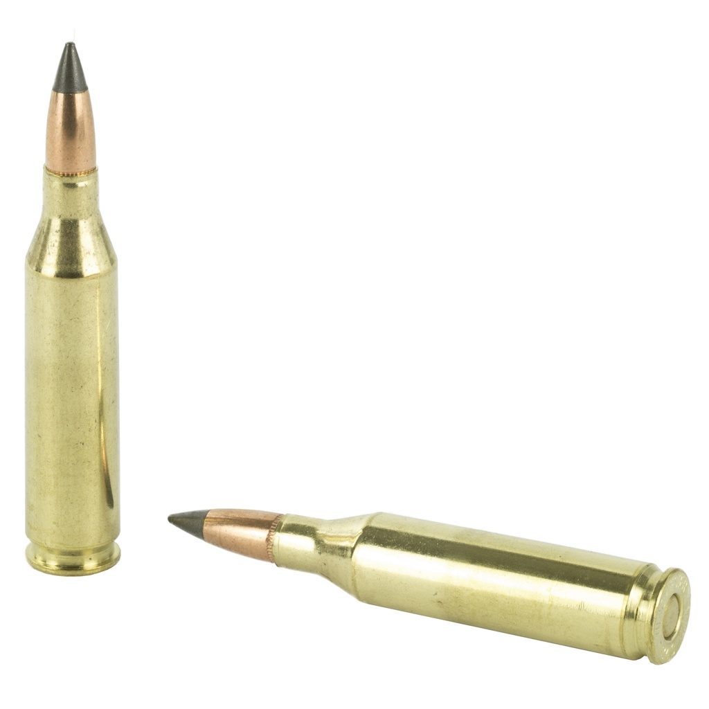 Winchester Ammunition WIN DEER SEASON 243WIN 95GR 20/200 3