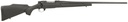 Weatherby VANGUARD OBSIDIAN 25-06 24" 1