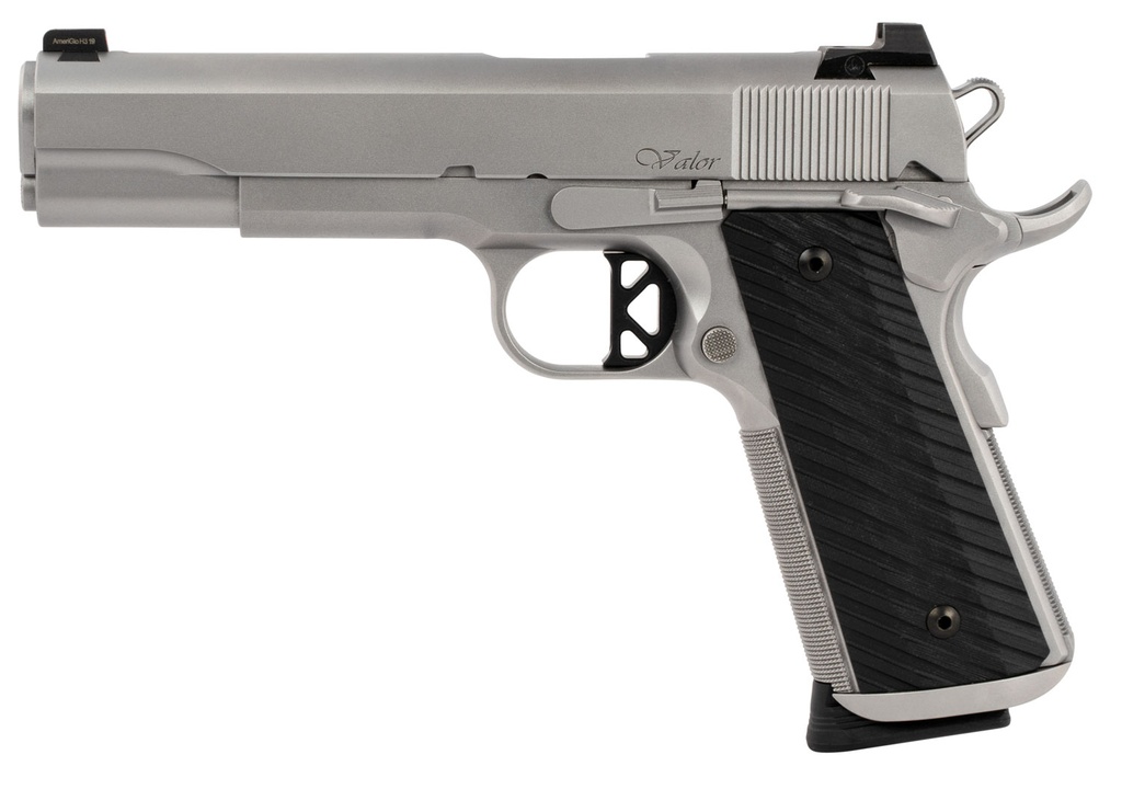 CZ Dan Wesson DW VALOR 45ACP SS/POLY 8+1 NS 1