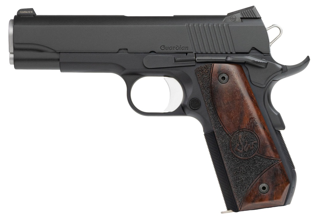 CZ Dan Wesson DW GUARDIAN 9MM 9+1 2