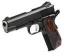 CZ Dan Wesson DW GUARDIAN 9MM 9+1 3