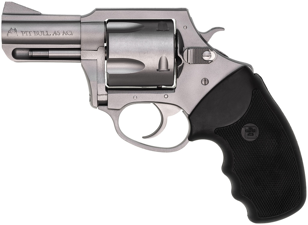 Charter Arms Pitbull 1