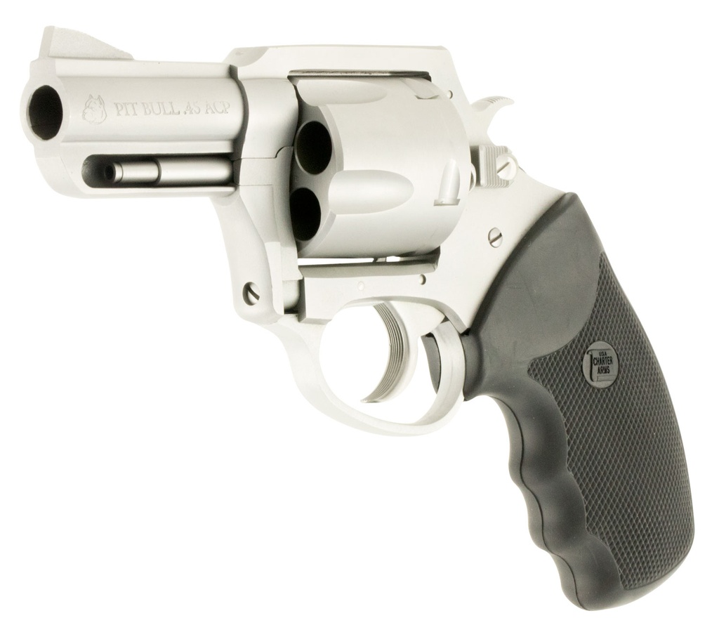 Charter Arms Pitbull 2