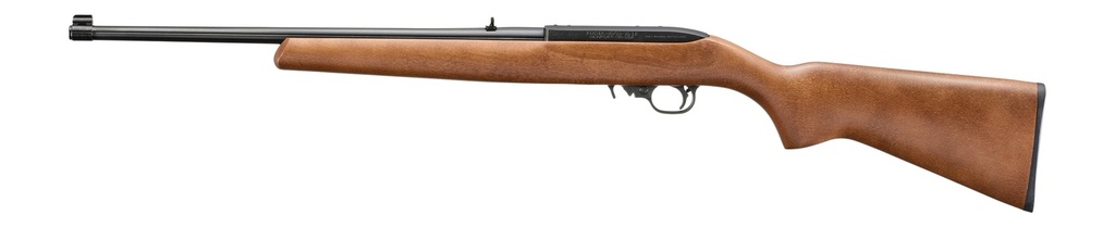 Ruger 10/22 Carbine 2