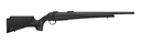 CZ 600 PLUS ALPHA 243WIN BL/SY TB 1