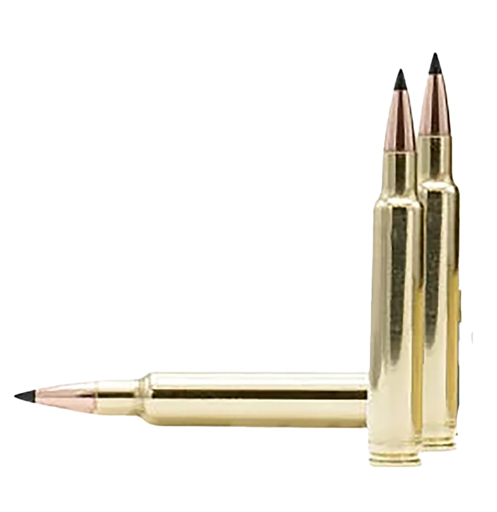 Weatherby 300WBY 165GR HDY INTERLOCK 1