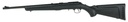 Ruger AMERICAN 22LR BL/SY 18" TB 2