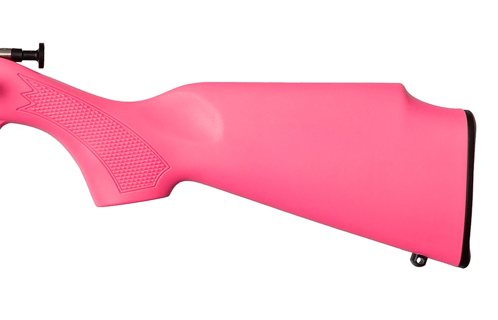 Keystone Sporting Arms CRICKETT 22LR SS/PINK 2