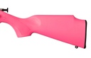 Keystone Sporting Arms CRICKETT 22LR SS/PINK 2
