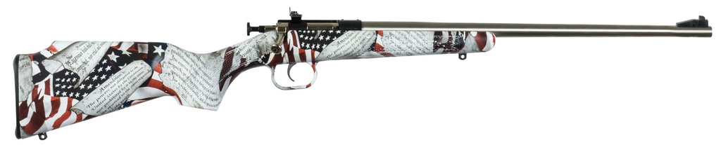 Keystone Sporting Arms CRICKETT 22LR AMENDMENT SS 1