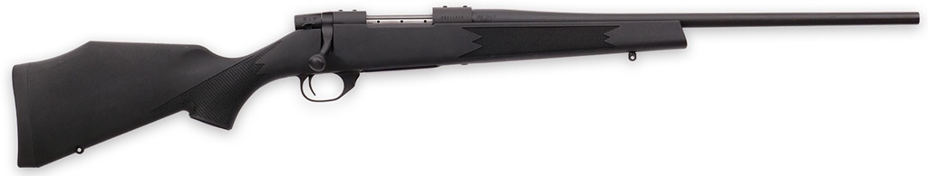 Weatherby VANGUARD S2 YOUTH 22-250 SYN 1