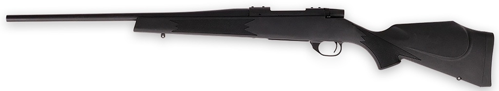Weatherby VANGUARD S2 YOUTH 22-250 SYN 2