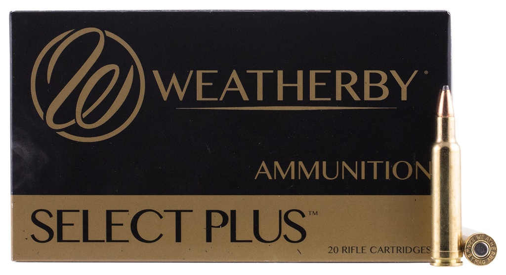 Weatherby 224WBY 55GR SPIRE POINT 2